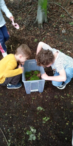Projektwoche rund um den Garten